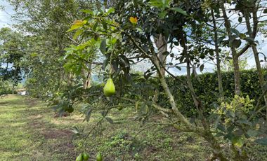 HERMOSO TERRENO RURAL