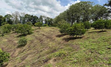 HERMOSO TERRENO RURAL