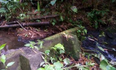 HERMOSO TERRENO RURAL