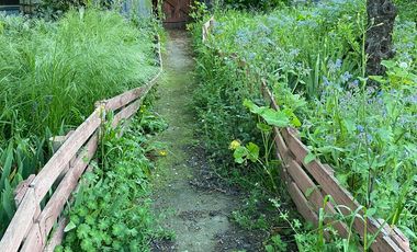 Casa y cabaña - 1.000m2 terreno - Angol