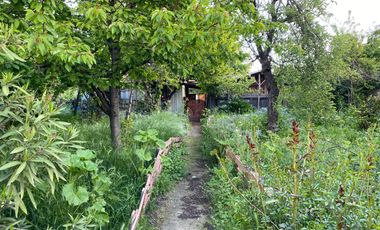 Casa y cabaña - 1.000m2 terreno - Angol