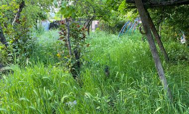 Casa y cabaña - 1.000m2 terreno - Angol