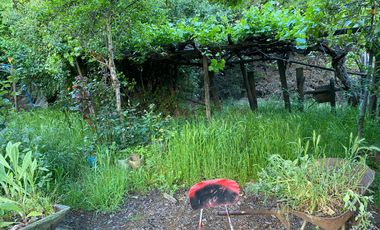 Casa y cabaña - 1.000m2 terreno - Angol