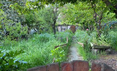 Casa y cabaña - 1.000m2 terreno - Angol