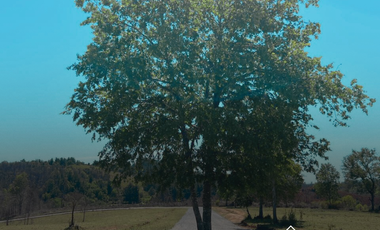 Preciosas parcelas en condominio cerrado