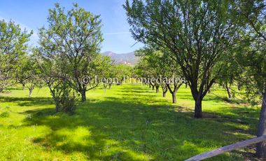 Leon Propiedades vende 4 lotes a orilla de camino Alhué, Curacaví.