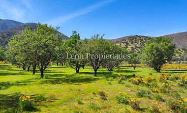 Leon Propiedades vende 4 lotes a orilla de camino Alhué, Curacaví.