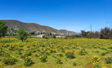 Leon Propiedades vende 4 lotes a orilla de camino Alhué, Curacaví.