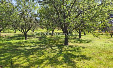 Leon Propiedades vende 4 lotes a orilla de camino Alhué, Curacaví.
