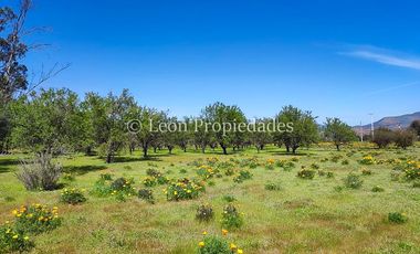 Leon Propiedades vende 4 lotes a orilla de camino Alhué, Curacaví.