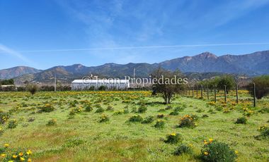 Leon Propiedades vende 4 lotes a orilla de camino Alhué, Curacaví.