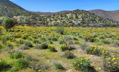 Leon Propiedades vende 4 lotes a orilla de camino Alhué, Curacaví.