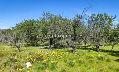 Leon Propiedades vende 4 lotes a orilla de camino Alhué, Curacaví.