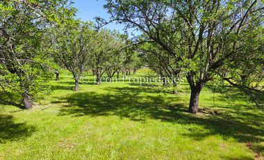 Leon Propiedades vende 4 lotes a orilla de camino Alhué, Curacaví.