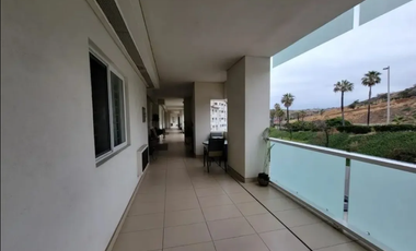 DEPARTAMENTO AMUEBLADO EN RENTA  FRENTE AL MAR