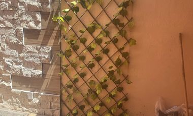 CASA EN RENTA $10,000 EN FRACCIONAMIENTO EL ROBLE, LA MARIA A 5 MIN. DE HERMANOS SERDAN