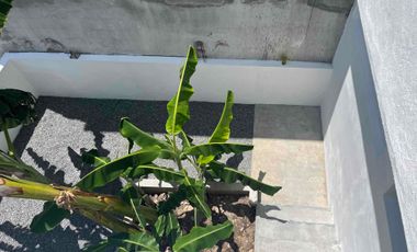 Casa en venta zona Nte pte de la ciudad Col Shanka