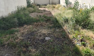 TERRENOS EN VENTA EN ZIBA