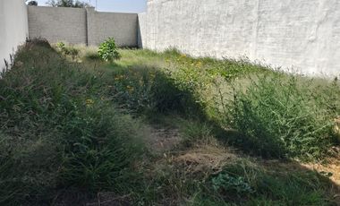 TERRENOS EN VENTA EN ZIBA