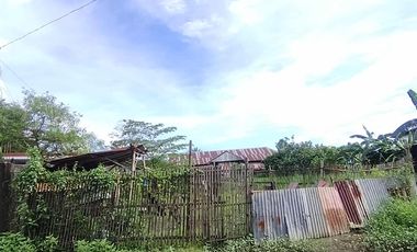 393 sqm Residential lot located in District III, Sibalom, Antique