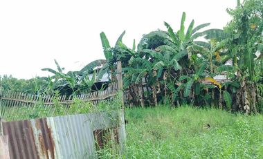 393 sqm Residential lot located in District III, Sibalom, Antique