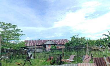 393 sqm Residential lot located in District III, Sibalom, Antique