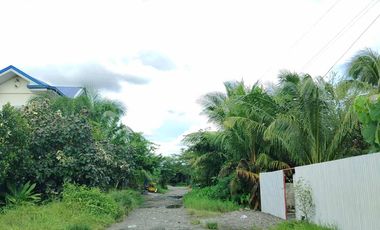 393 sqm Residential lot located in District III, Sibalom, Antique
