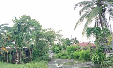 393 sqm Residential lot located in District III, Sibalom, Antique