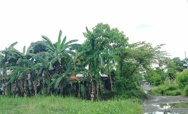 393 sqm Residential lot located in District III, Sibalom, Antique