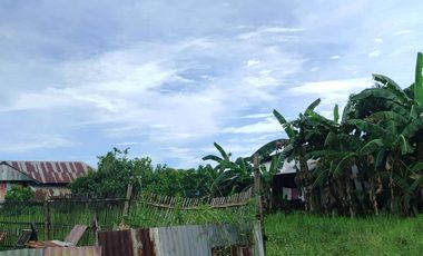 393 sqm Residential lot located in District III, Sibalom, Antique