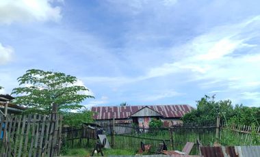 393 sqm Residential lot located in District III, Sibalom, Antique