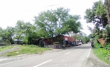 393 sqm Residential lot located in District III, Sibalom, Antique
