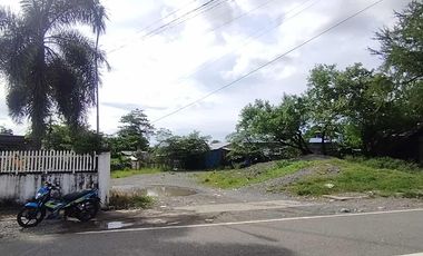 393 sqm Residential lot located in District III, Sibalom, Antique