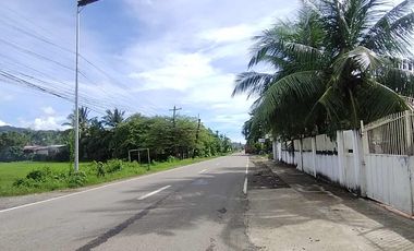 393 sqm Residential lot located in District III, Sibalom, Antique