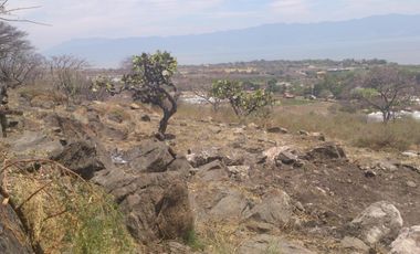 Vista panorámica a la laguna