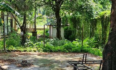 Tanah Komersil Serpong Dekat BSD LT.28257 m2, HGB, Jalan Raya