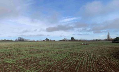 SE VENDE LINDO CAMPO EN MULCHEN