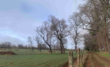 SE VENDE LINDO CAMPO EN MULCHEN