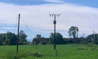 SE VENDE LINDO CAMPO EN MULCHEN