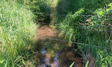 SE VENDE LINDO CAMPO EN MULCHEN