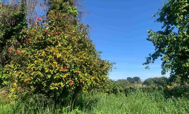 SE VENDE LINDO CAMPO EN MULCHEN