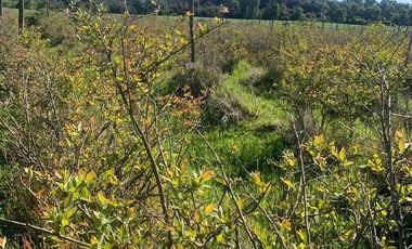 SE VENDE LINDO CAMPO EN MULCHEN