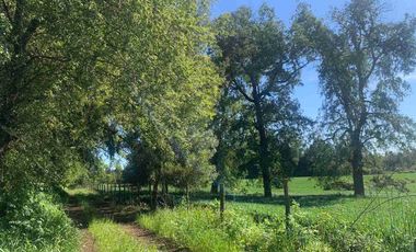 SE VENDE LINDO CAMPO EN MULCHEN