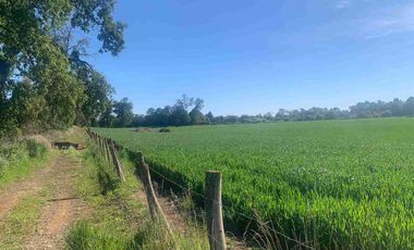 SE VENDE LINDO CAMPO EN MULCHEN