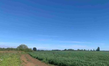 SE VENDE LINDO CAMPO EN MULCHEN