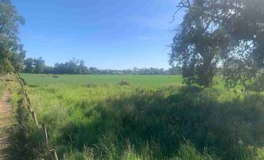 SE VENDE LINDO CAMPO EN MULCHEN