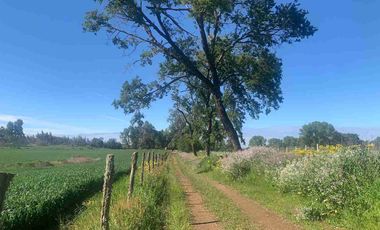 SE VENDE LINDO CAMPO EN MULCHEN