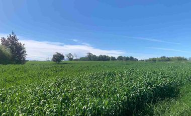 SE VENDE LINDO CAMPO EN MULCHEN