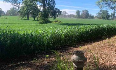 SE VENDE LINDO CAMPO EN MULCHEN