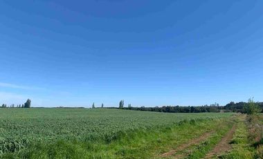 SE VENDE LINDO CAMPO EN MULCHEN